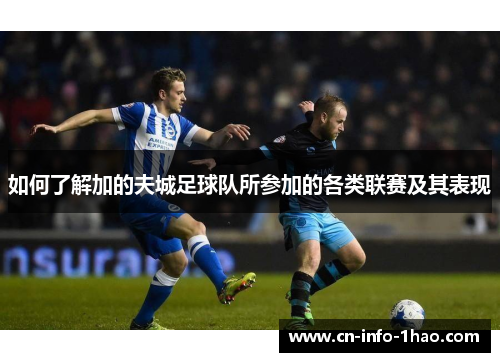 如何了解加的夫城足球队所参加的各类联赛及其表现