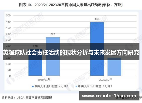 英超球队社会责任活动的现状分析与未来发展方向研究