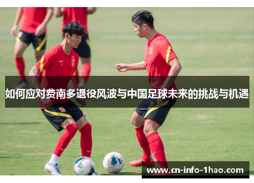 如何应对费南多退役风波与中国足球未来的挑战与机遇
