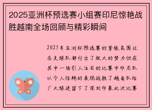 2025亚洲杯预选赛小组赛印尼惊艳战胜越南全场回顾与精彩瞬间